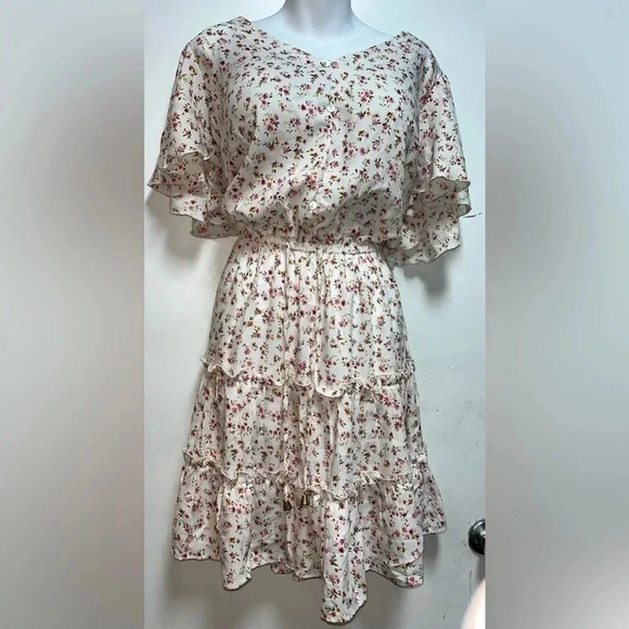 Hint of Blush Roses and Ruffles Dress Size 1X - Picture 1 of 5